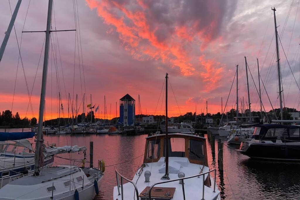 Hyggelig Sommerhus Oer Maritime Ferieby Ebeltoft Dış mekan fotoğraf